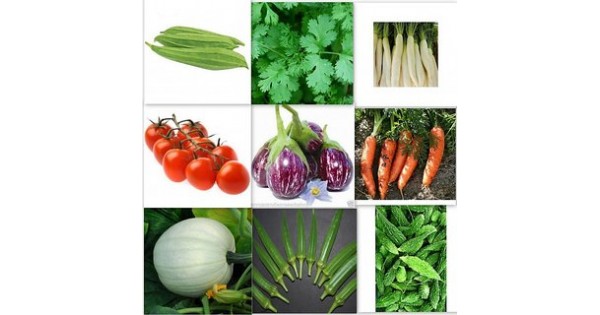 Kitchen Garden Seeds   Kitchen Garden Seeds 600x315 